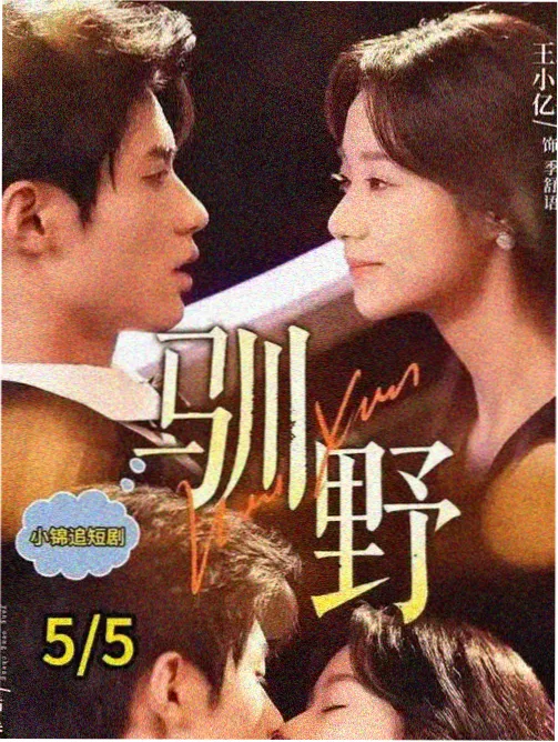 清音阁志